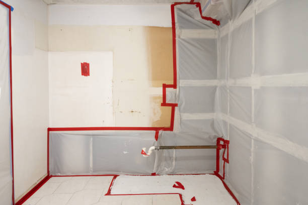 Best Environmental Consulting for Mold Prevention  in Rochester Hills, MI