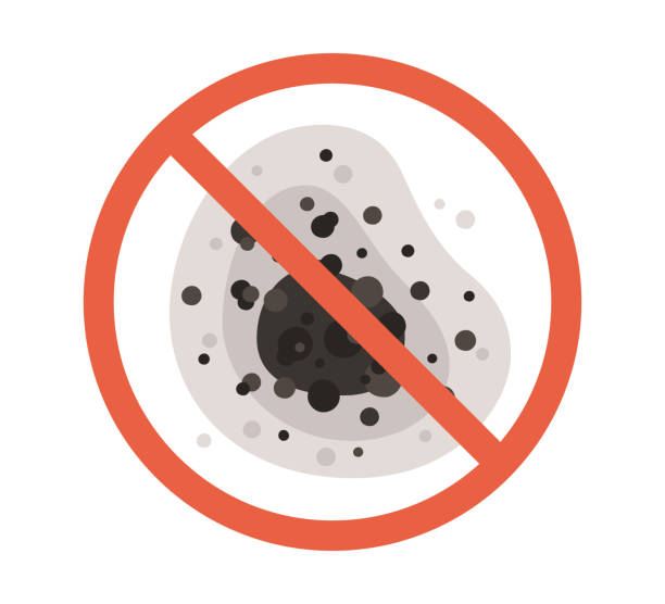Mold Removal for HVAC Installations in Rochester Hills, MI