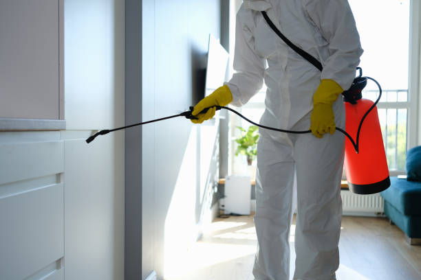 Rochester Hills, MI Mold Removal Company