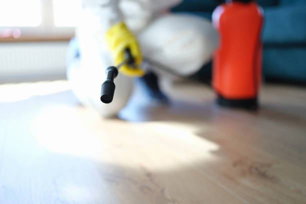 Best Attic Mold Removal  in Rochester Hills, MI