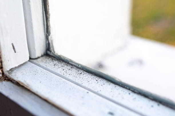Best Indoor Air Quality Assessment  in Rochester Hills, MI