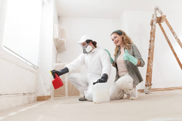 Best Air Quality Testing for Mold Spores  in Rochester Hills, MI