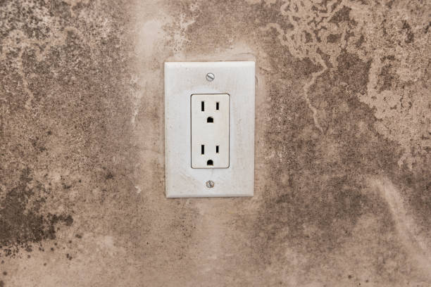 Best Emergency Mold Remediation  in Rochester Hills, MI