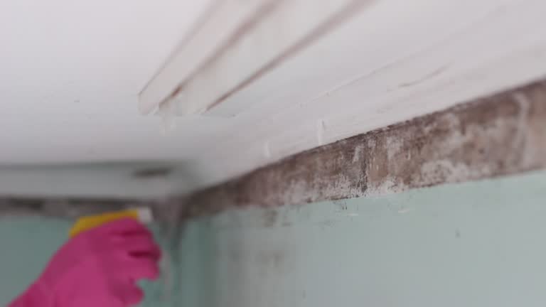 Best Post-Remediation Verification Testing  in Rochester Hills, MI